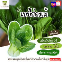 เมล็ดพันธุ์เบบี้ฮ่องเต้ 100เมล็ด อัตราการงอก95% ปลูกง่าย โตไว(มีของแถมเป็นเมล็ดผักกวางตุ้งทุกออเดอร์)