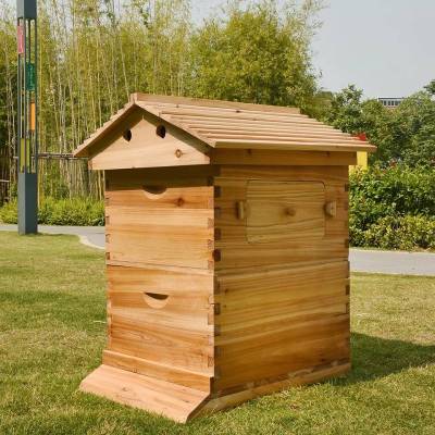 บ้านไม้เลี้ยงผึ้ง กล่องไม้เลี้ยงผึ้ง บ้านผึ้ง กล่องอุปกรณ์สำหรับเลี้ยงผึ้ง ที่เลี้ยงผึ้ง