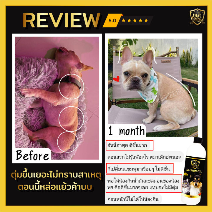 young-zero-น้ำมันปลาแซลมอน-สำหรับสัตว์เลี้ยง-บำรุงขน-สุนัข-หมา-แมว-salmon-oil-ขนาด-500ml