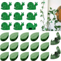 Invisible Vine Clip Sticky Vines Fixture Wall Plant Clips