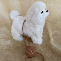 Electronic Plush Dog Toy Robot Cat Sing Song Puppy Leash Control Music Animal Walk Bark Electric Kitten Kids Birthday Gift