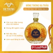 Đông trùng hạ thảo Tươi DR. TRUNG - cấy trực tiếp trong chai XO 500ml