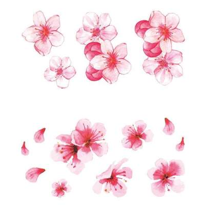 Antique cherry blossom tattoo stickers eyes tears mole small flowers peach blossom clavicle flower tin small fresh net red tattoo stickers set