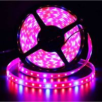 LED grow Strip 5M/roll Waterproof red blue Phyto Lamp 300LEDs 12V 5050 Chip Growth Lights Fitolamp For indoor flower plant lamp Ceiling Lights