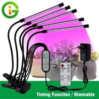 ไฟ USB Grow LED DC5V/12V,โคมไฟ Phyto สเปกตรัมเต็มรูปแบบพร้อมการควบคุมสำหรับต้นกล้าพืชดอกไม้ในร่ม Fitolamp กล่อง Grow