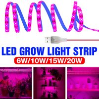 LED Full Spectrum Plant Lamp 5V USB Grow Light Strip 0.5M 1M 2MM 3M Greenhouse Hydroponic For Flower Seeds Growth Lighting 2835