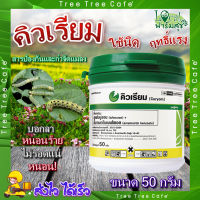 คิวเรียม ยาป้องกันและกำจัดแมลง ? ขนาด 50 กรัม กำจัดหนอน กำจัดแมลง กำจัดทั้งไข่และตัวหนอน หนอนผัก หนอนข้าวโพด กะหล่ำ หนอนกระทู้หอม