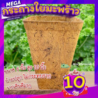 กระถางใยมะพร้าว 6 นิ้วทรงสูง (เซ็ต 10 ใบ) ? กระถางเพาะชํา กระถางต้นไม้ อุ้มน้ำ ระบายอากาศได้ดี รากเดินดี  ย่อยสลายได้เอง ลดโลกร้อน