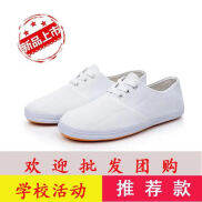 Giày Thể Thao Màu Trắng Giày Vải Giày Trắng Giày Thể Thao Giày Tennis Giày