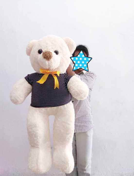 1m teddy bear