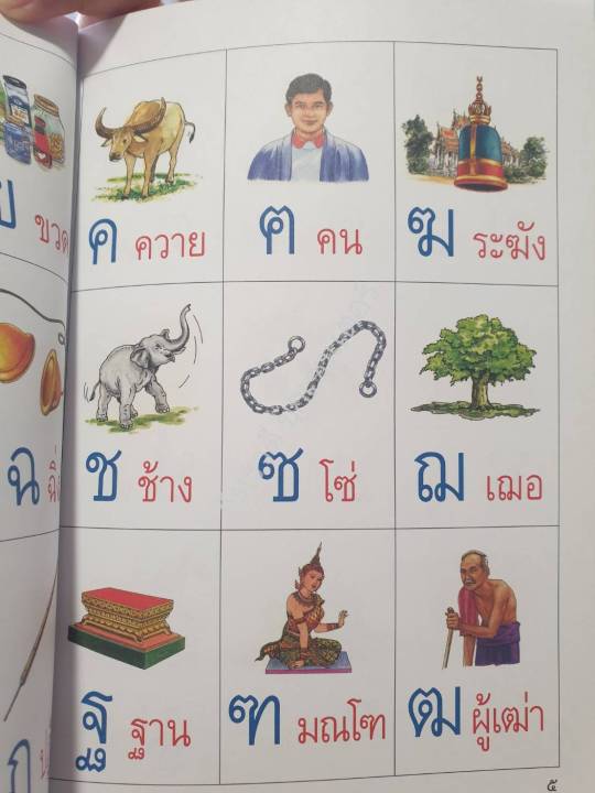 หนังสือดอกสร้อย-ก-ไก่-สำหรับเด็กแรกเรียนหรือหัดอ่านและจดจำตัวอักษร-ก-ไก่-ถึง-ฮ-นกฮูก