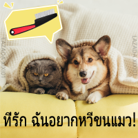 ที่รัก ฉันอยากหวีขนแมว! dog and cat comb/หวีสัตว์เลี้ยง ขนแมวจะไม่บินไปทั่ว