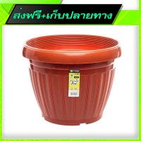 ?ส่งฟรี เก็บCOD Free Shipping ELIANWARE Flower Pot