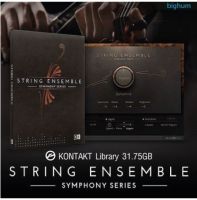 KONTAKT Symphony Series - String Ensemble ( win/Mac ) ( ทักแชท Read chat )