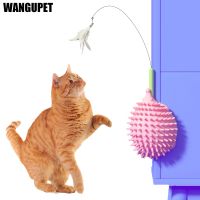 Cat Massage Brush Wall Corner Cat Comb Collocation Feather Cat Wand Pet Hair Beauty Care Wall Corner Rubs Catnip The Face Comb Brushes  Combs