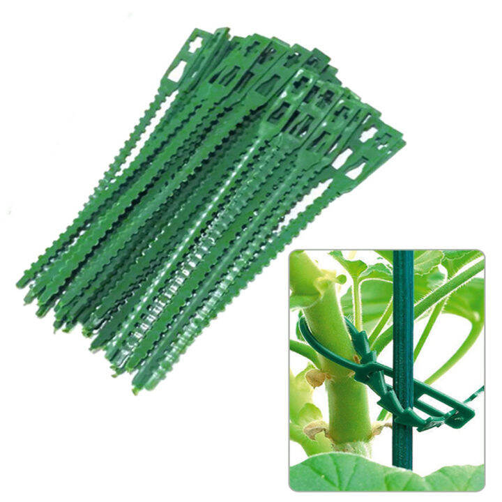 100pcs-13-17-22cm-adjustable-plastic-plant-cable-ties-reusable-shrub-fastener-for-garden-tree-climbing-support-vine-tomato-stem-clip