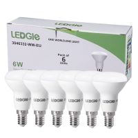 LEDGLE LED Light E14 LED Bulb AC 220V 240V 50W R50 Energy Saving LED E14 Bulbs Chandelier Candle LED Light For Home Decoration