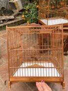 Khung lồng chim chào mào trúc già tre già đẹp - bền - rẻ