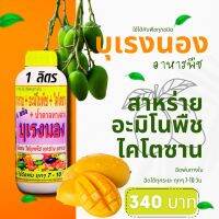 พร้อมส่ง? บุเรงนอง ขนาด 1 ลิตร อะมิโนพืช+สาหร่าย+ไคโตซาน+น้ำตาลทางด่วน อาหารพืช ใช้ฉีดพ่นทางใบ ฉีดพ่น มะม่วง