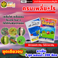 ? ชุดกำจัดเพลี้ย+ไร เจทีแชมป์+รีเบนล่า (อิมิดาคลอพริด+ไพริดาเบน) 100กรัม+100กรัม กำจัดเพลี้ยและไรทุกชนิด