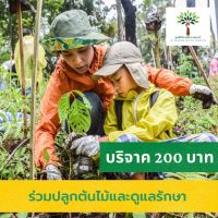 [Donation] บริจาค 200 บาท ร่วมกับมูลนิธิสถาบันราชพฤกษ์ ปลูกต้นไม้ ฟื้นฟูป่า เพิ่มความหลากหลายทางชีวภาพ การกักเก็บคาร์บอน ดูแลรักษา ติดตามผล