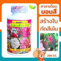 ?สินค้าขายดี?คาลาเดียม โปร สำหรับ บอนสี 250CC. ปุ๋ย เพิ่มความสมบูรณ์ เร่งสีและใบ