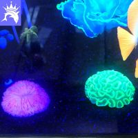 hot【cw】 1PCS Artificial Plastic Aquarium Decorations Ornament Aquatic Accessories