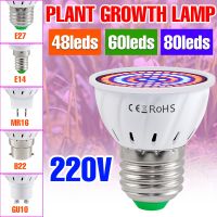 LED เต็มสเปกตรัม Phytolamp สำหรับพืชเติบโตหลอดไฟ E27ต้นกล้าเติบโตแสง Phyto แสงการเจริญเติบโตของพืชโคมไฟไฮโดรโพนิการเจริญเติบโตแสง