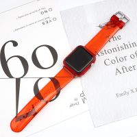 ☃ Kolor galaretki przezroczysty pasek nadaje się do zegarka 7 w imieniu SE pasek do iwatch 6 5 4 3 silikonowy pasek ochronny zestaw