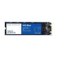 WD 250GB BLUE SA510 250GB,M.2 SATA3(6GB/S) - R 555MB/S,W 440MB/S (WDSSD250GB-M.2-3D-5YEAR-SA510)