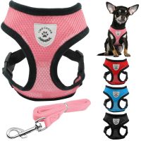 Breathable Mesh Small Dog Pet Harness and Leash Set Puppy Cat Vest Harness Collar For Chihuahua Pug Bulldog