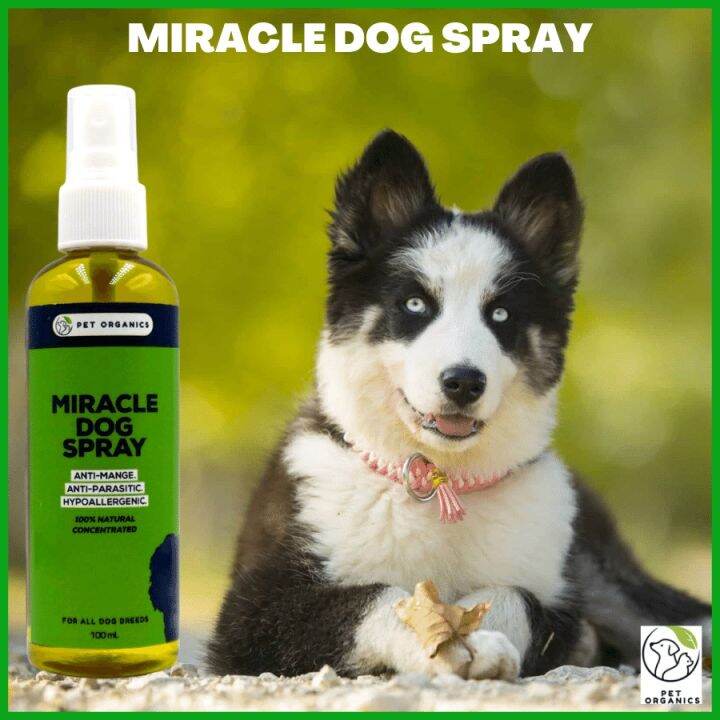 (FOR ALL DOG BREEDS) 100 Miracle Dog Spray Best for AntiMange, Anti