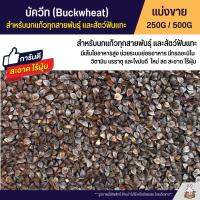 บัควีท Buckwheat เกรดA อาหารนกแก้ว และสัตว์ฟันแทะ สะอาด ร่อนฝุ่นทุกถุง (แบ่งขาย 250G / 500G)