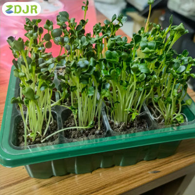 ZDJR ชุดปลูกพืช5ชิ้นฝาครอบ Wth กระถางเริ่มปลูกพืชระบายอากาศสำหรับดอกไม้ผักผลไม้5ชิ้น