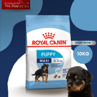 Royal canin maxi puppy 10 kg อาหารลูกสุนัข ขนาดใหญ่ อายุ 2 – 15 10 กิโลกรัม