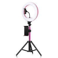 32Cm/12Inch LED Ring Light Fill-In Lamp 3500K-5600Kหรี่แสงได้พร้อมรีโมทคอนโทรล + ขาตั้งโลหะความสูง 170 เซนติเมตร + ปรับมาร์ทโฟนผู้ถือแท็บเล็ตสำหรับYouTubeบันทึกวิดีโอสดสตรีมมิ่งเซลฟีแต่งหน้า Vlog Studio