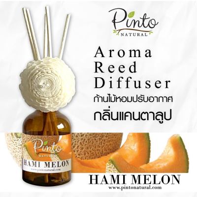 Pinto Natural Aromatic Reed Diffuser ก้านไม้หอมปรับอากาศ กลิ่นเมล่อน Hami Melon ขนาด 50ml. และ 100ml.