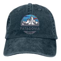 เสื้อท็อปส์ Patagonia Patagonia Pure P 6 โลโก้อเมริกันปรับได้สําหรับผู้ใหญ่