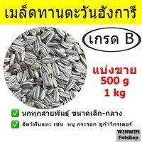 เมล็ดทานตะวันลาย ฮังการี เกรดB สำหรับนก และ สัตว์ฟันแทะ