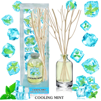 ฟุ้งสบายไม้หอม 40 ml กลิ่น COOLING MINT คูลลิ่งมิ้น