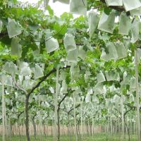 ☽✒✉ 50Pcs/Lot Garden Vegetable Grapes bags Apples Fruit Protection Bag Pouch Agricultural Pest Control Anti-Bird Mesh Bags 18 x 20cm