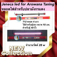 Jeneca led for Arowana Taning หลอดไฟสำหรับปลามังกรแดง T12 หลอด 4 แถว ใช้สำหรับตู้ปลา ขนาด 92 cm. สำหรับตู้ 40 นิ้ว