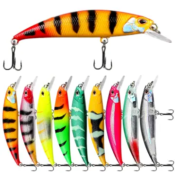 Shop Fishing Lure Shrimp Complete Set Box with great discounts and