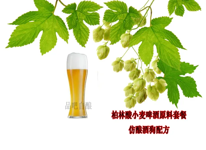 Berlin sour wheat beer raw material package 20l/selfbrewed beer raw