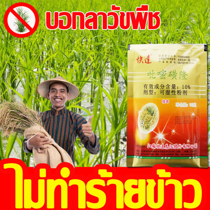 ยาคุมหญ้าข้าว-คุมฆ่าในนาข้าว-ยาคุมหญ้าข้าว-เข้มข้นสุดๆ-10g-ประหยัดข้าวจากวัชพืช-เห็นผลรวดเร็ว-ระยะเวลานาน-1ชุด-ผสมน้ำ60catties-วัชพืชในนาข้าวต่างๆ-หญ้าข้าวนก-หญ้าหูหนู-สารกำจัดวัชพืช-คุมเลนนาข้าว-ยาคุ