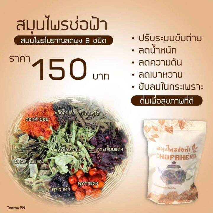 ชาช่อฟ้า-สมุนไพรช่อฟ้า-ช่อฟ้า-chofaherb