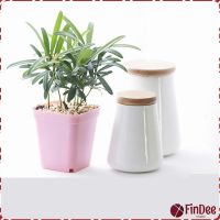 FinDee กระถางต้นไม้พลาสติก พร้อมถาดรอง กระถางขนาดเล็ก  Plastic flowerpot  มีสินค้าพร้อมส่ง