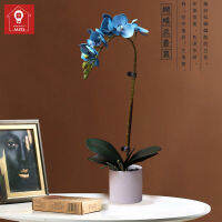 MZD【Flower Set + Tabletop Ceramics กล้วยไม้ตกแต่งห้องนั่งเล่นตู้ทีวีโต๊ะรับประทานอาหารการจัดดอกไม้ Model Room Decoration Floral Arrangement