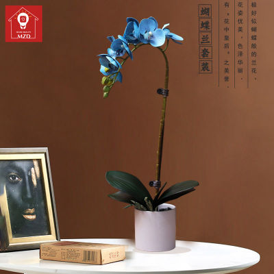 MZD【Flower Set + Tabletop Ceramics กล้วยไม้ตกแต่งห้องนั่งเล่นตู้ทีวีโต๊ะรับประทานอาหารการจัดดอกไม้ Model Room Decoration Floral Arrangement