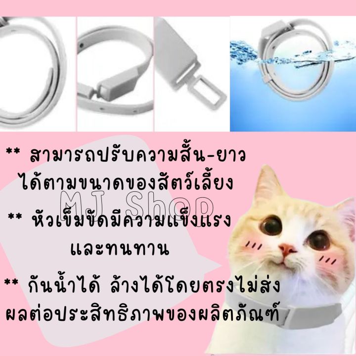 ปลอกคอป้องกันเห็บ-หมัด-ไร-ยุง-สัตว์เลี้ยง-น้องหมาน้องแมว